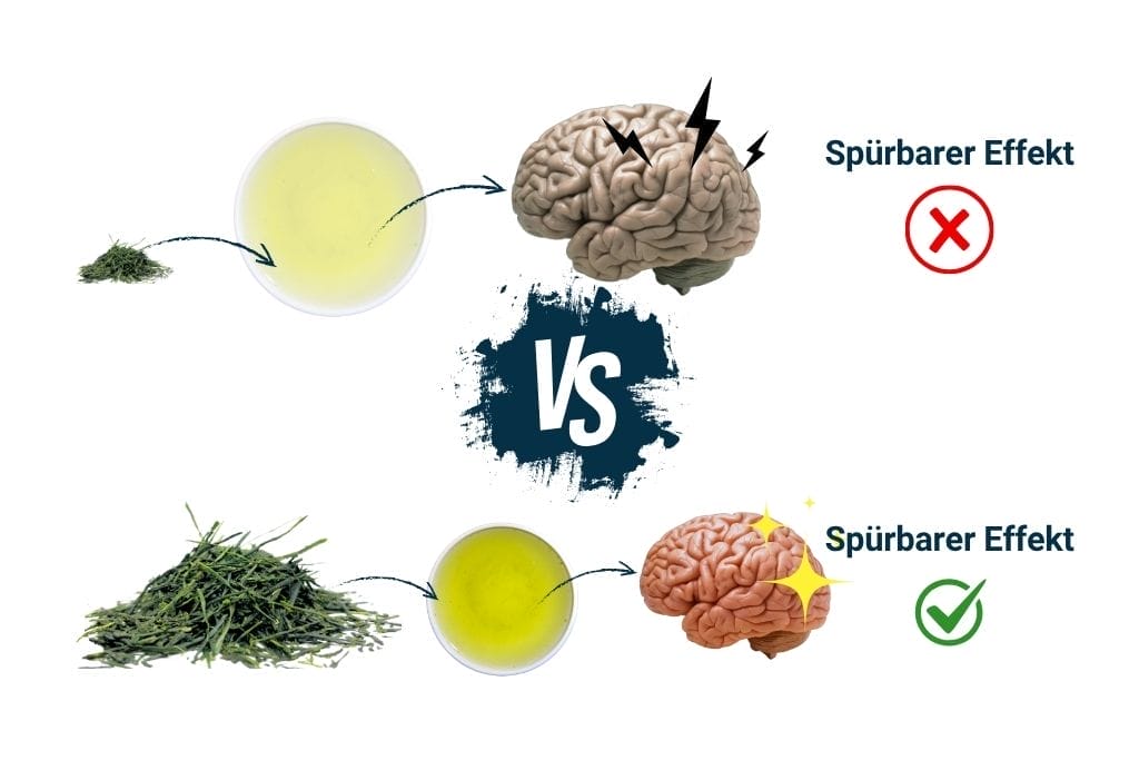 Grüner Tee Wirkung Mindestmenge für spürbare Wirkung - Dosierung und Qualität Infografik