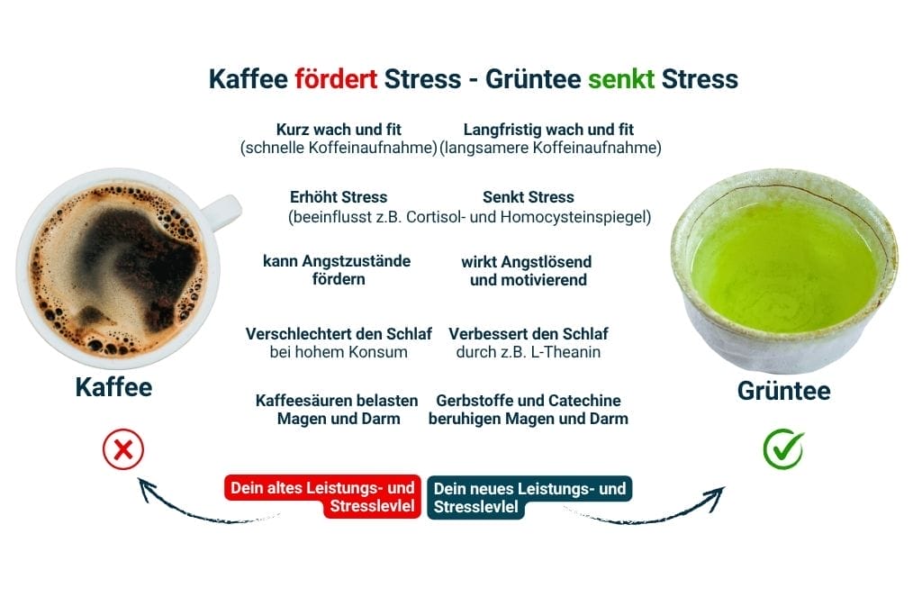 Kaffee vs Grüner Tee Stress Vergleich - Kaffee erhöht Stress Grüntee senkt Stress Infografik